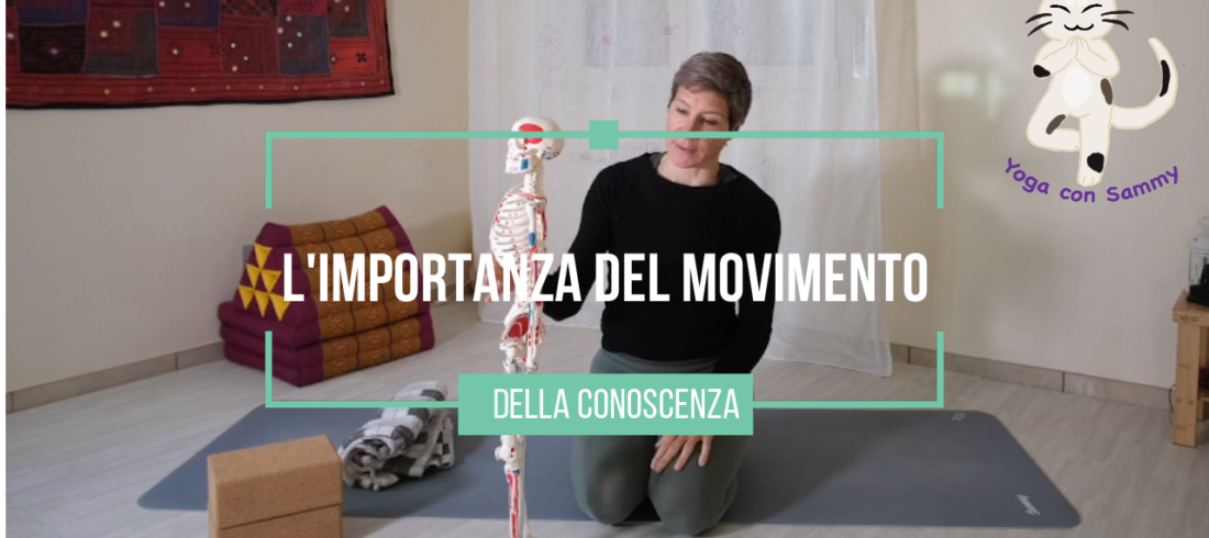 yoga e mal di schiena